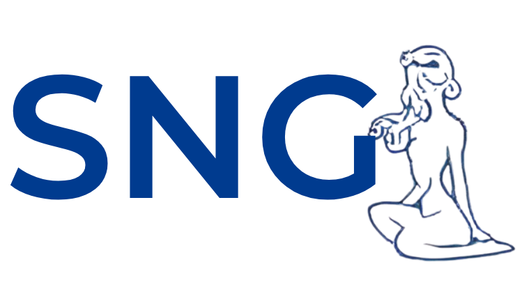 StreetNightGirls Logo